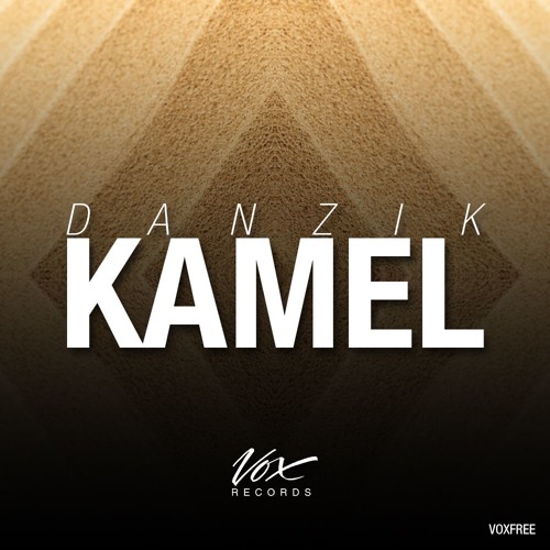 Danzik - Kamel (Original Mix)