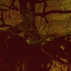 He said life's a question, but don't let them hassle you for an answer.