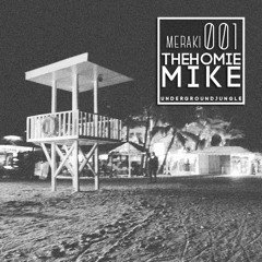 Meraki 001: TheHomie Mike