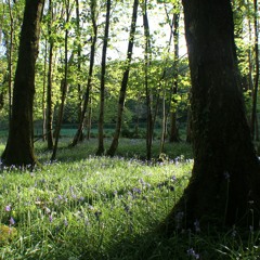 Sterls - Slow Down (Short)