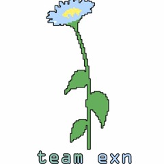 10.6.2015 sloppy exnfox mixing