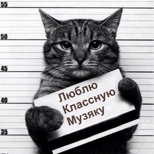 Beyonce – Say My Name baby Remix