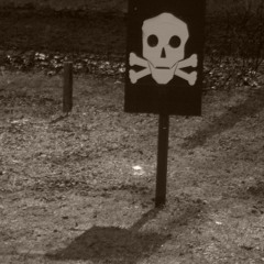 Jimmieharenbrunskjorta