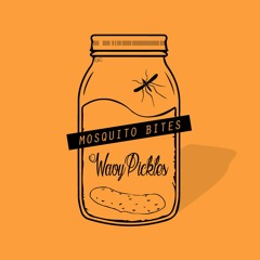 WAVYPICKLES - Mosquito Bites (video in description)