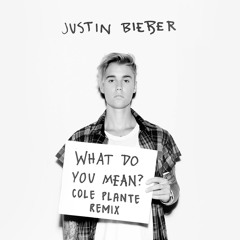 Justin Bieber - What Do You Mean? (Cole Plante Remix)