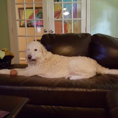 Piano Writing Session