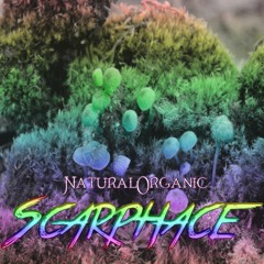 NaturalOrganic