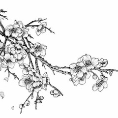 The Journey Of Flower