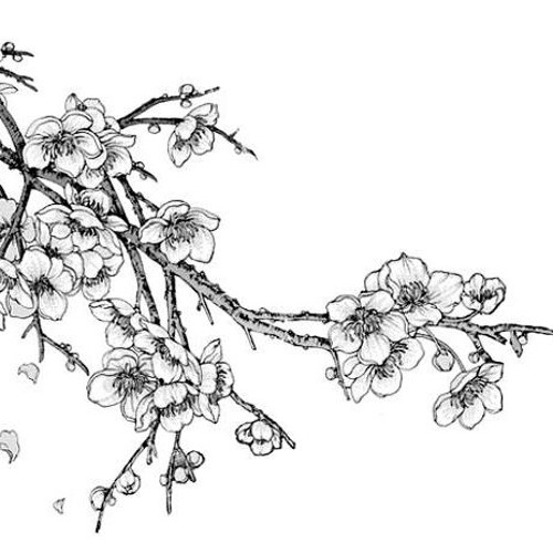 The Journey Of Flower