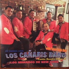 MOSAICO BANDA LOS CAÑARIS BAND LLORANDO MI PARTIDA-LA CHAMBENITA