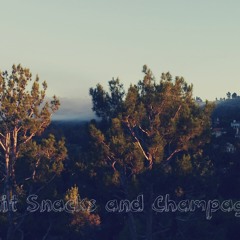 Fruit Snacks And Champagne