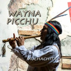 Wayna Pichu - Lorito casanova