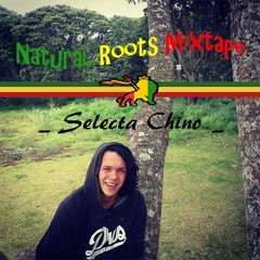 Natural Roots (Selecta Chino)