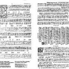 Can She Excuse. Juan Ortiz de Zarate (Argentina)