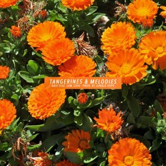 ABIV - Tangerines & Melodies ft. Sam Stan