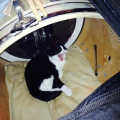 Mom Moved Down The Street