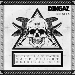 Luke Rowland - Take Flight (Dingaz Remix)DL IN DESCRIPTION