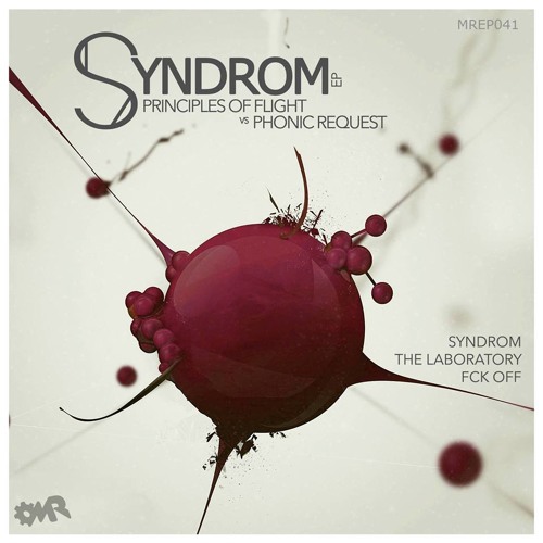 Phonic Request Vs Principles of Flight - Syndrom