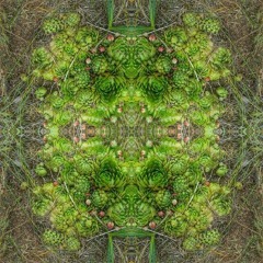 Inner space