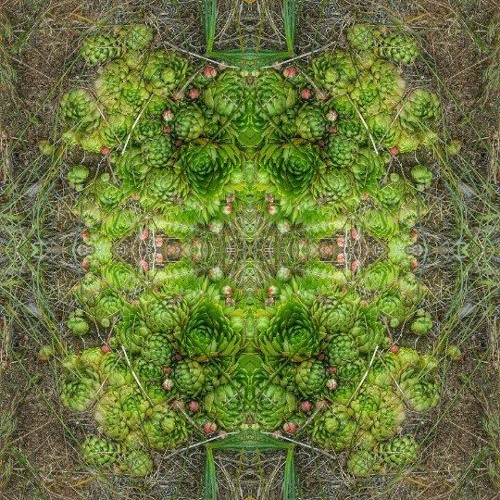 Inner space