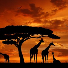 Africa