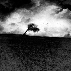 Ensilence - Like Wind (Prod. By DJ Teknik)