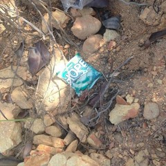 heaven's supermarket