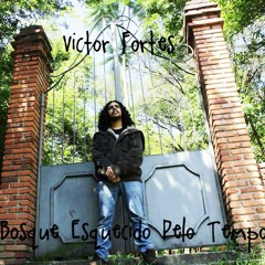 8- Victor Fortes - O Bardo E Sua Flauta