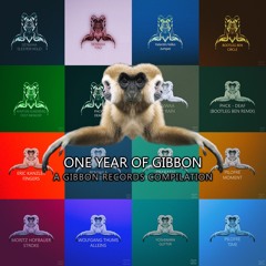GIBLP002 : Prakash & Bootleg Ben - CO2 (Original Mix) **14 October 1 Year Of Gibbon**