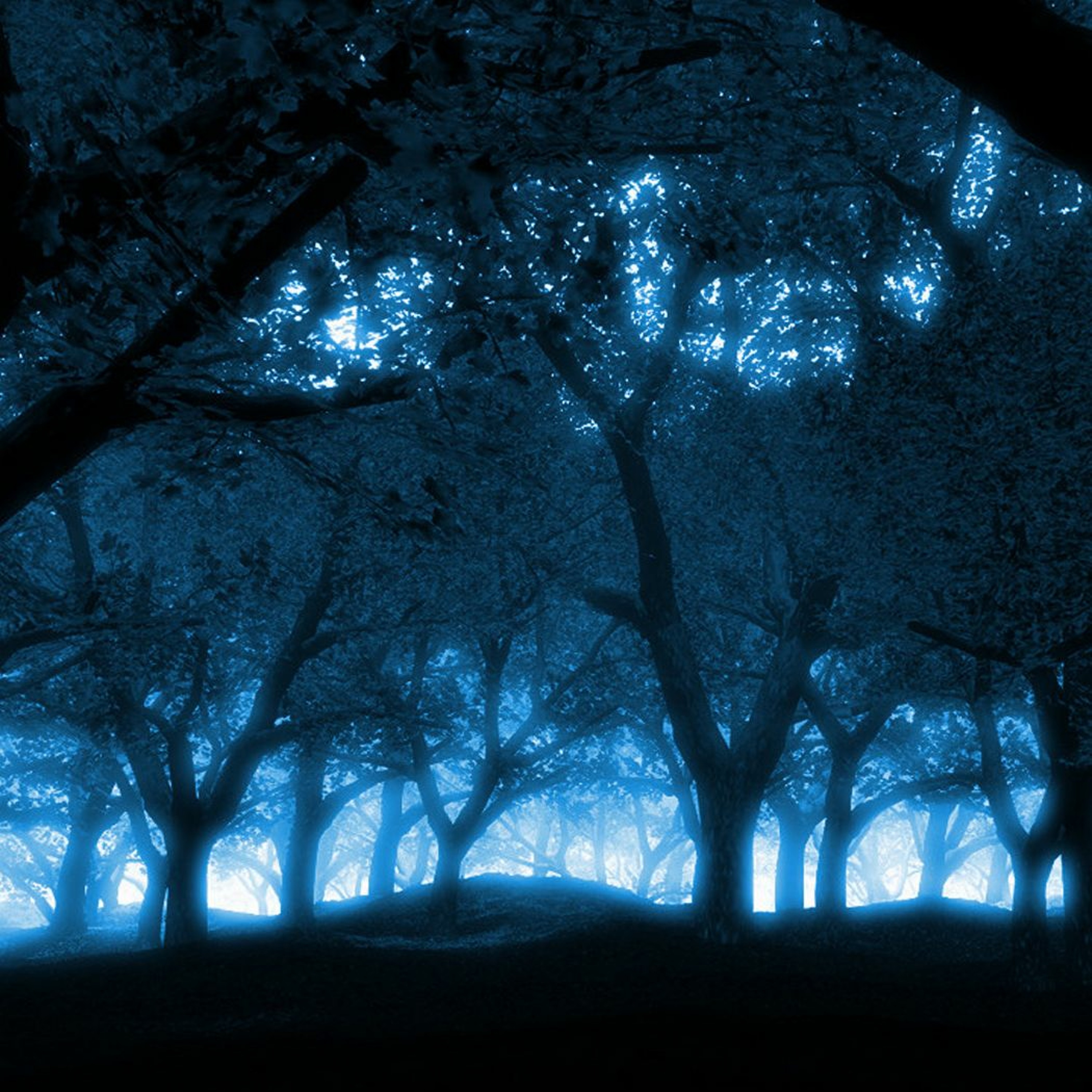 Blue Trees episode artwork