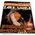 Artwork for 10 hot Zakk Wylde licks