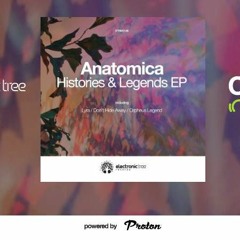 Anatomica - Don't Hide Away - Electronic Tree