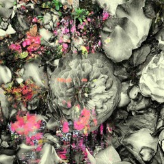 Cid Inc & Monaque - Collaboration (Original Mix) [microCastle] FREE DOWNLOAD