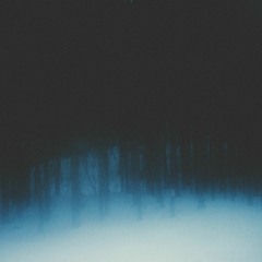 Into The Mist