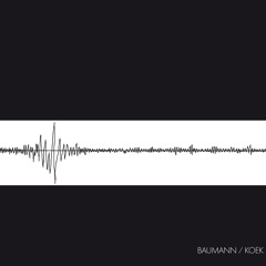 Baumann/Koek - Snippets (reissue from 1978) out Jan 29, 2016