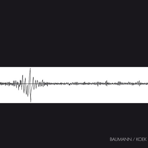 Baumann/Koek - Snippets (reissue from 1978) out Jan 29, 2016