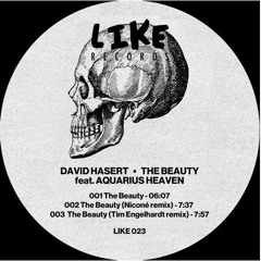David Hasert - The Beauty feat. Aquarius Heaven (Tim Engelhardt Remix) (LIKE)
