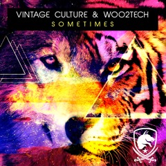 Vintage Culture & WOO2TECH - Sometimes (Radio Edit) [OUT NOW!]