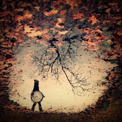 Traveling Through Time