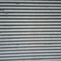 Lippenbruch (lyrics by Karin Tarabochia/Augenmerk)