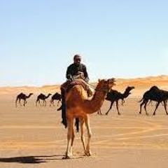 Arabic Stories