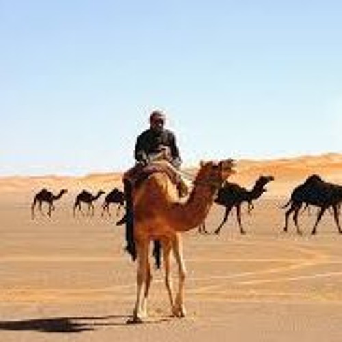 Arabic Stories
