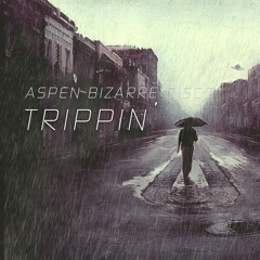 HRR142 - Aspen Bizarre Disco - Trippin (Original Mix)