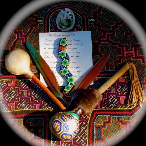 Ayahuasca Takimuyki