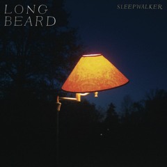 Long Beard - Turkeys