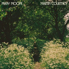 Martin Courtney - Northern Highway