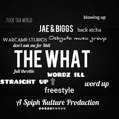 Jae&Biggs - The What Freestyle(Blowin' up)- The lost tapes