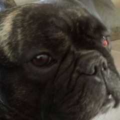 hip hop beat ft D-Lemma 140 bpm mix.wav