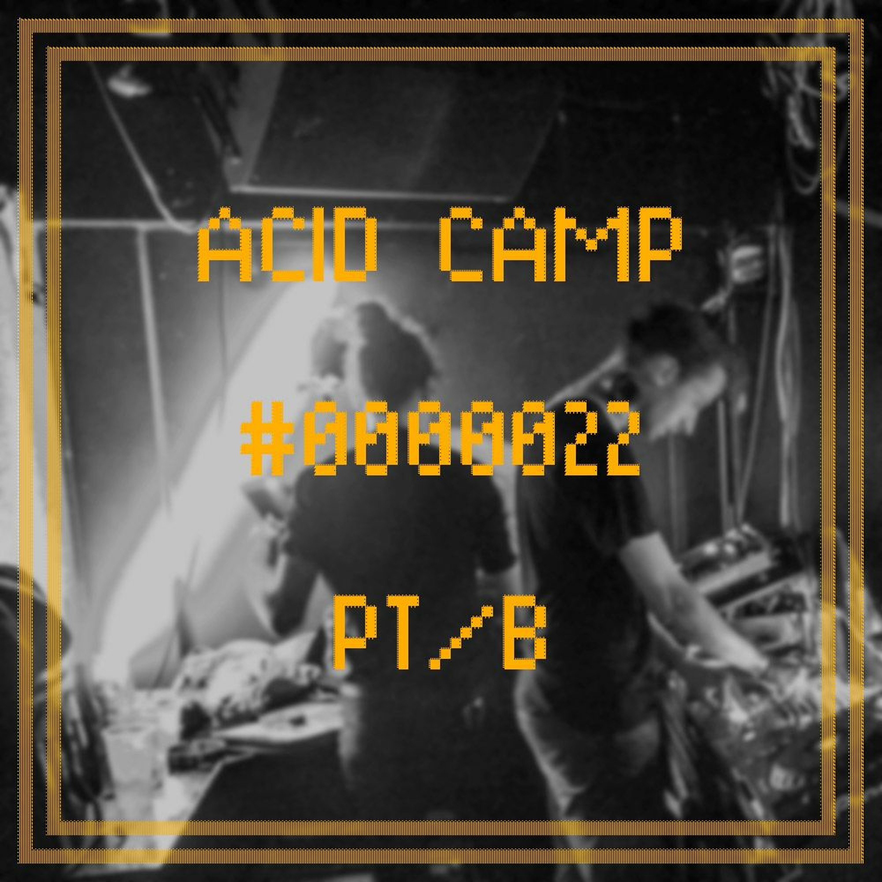 Acid Camp Vol. 22 - PT/B