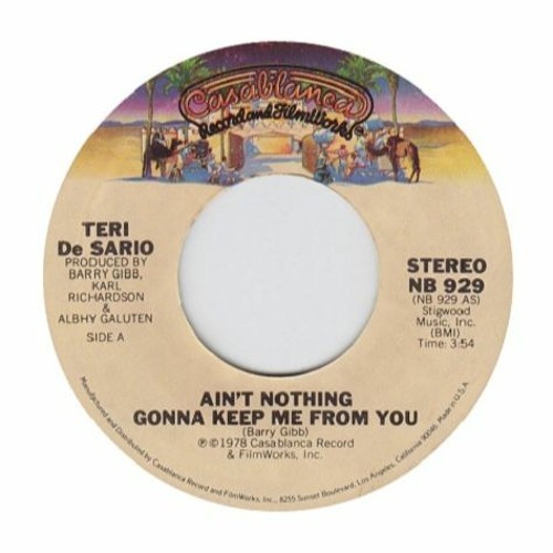 Teri DeSario   Ain't Nothin Gonna Keep Me From You (Digital Visions Re Edit)